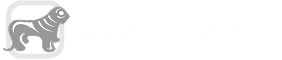 Logo_Bank of Georgia